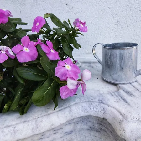 Bersagliere * Laglio