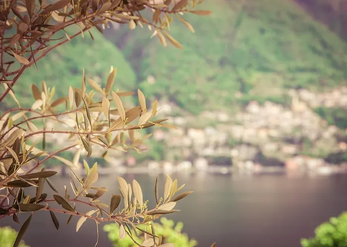 Отель Bersagliere *